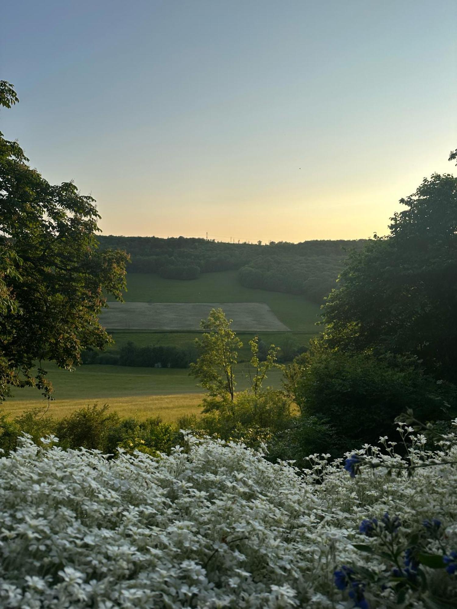 Chateau De Champrenault, Voyagez Dans Le Temps Buitenkant foto