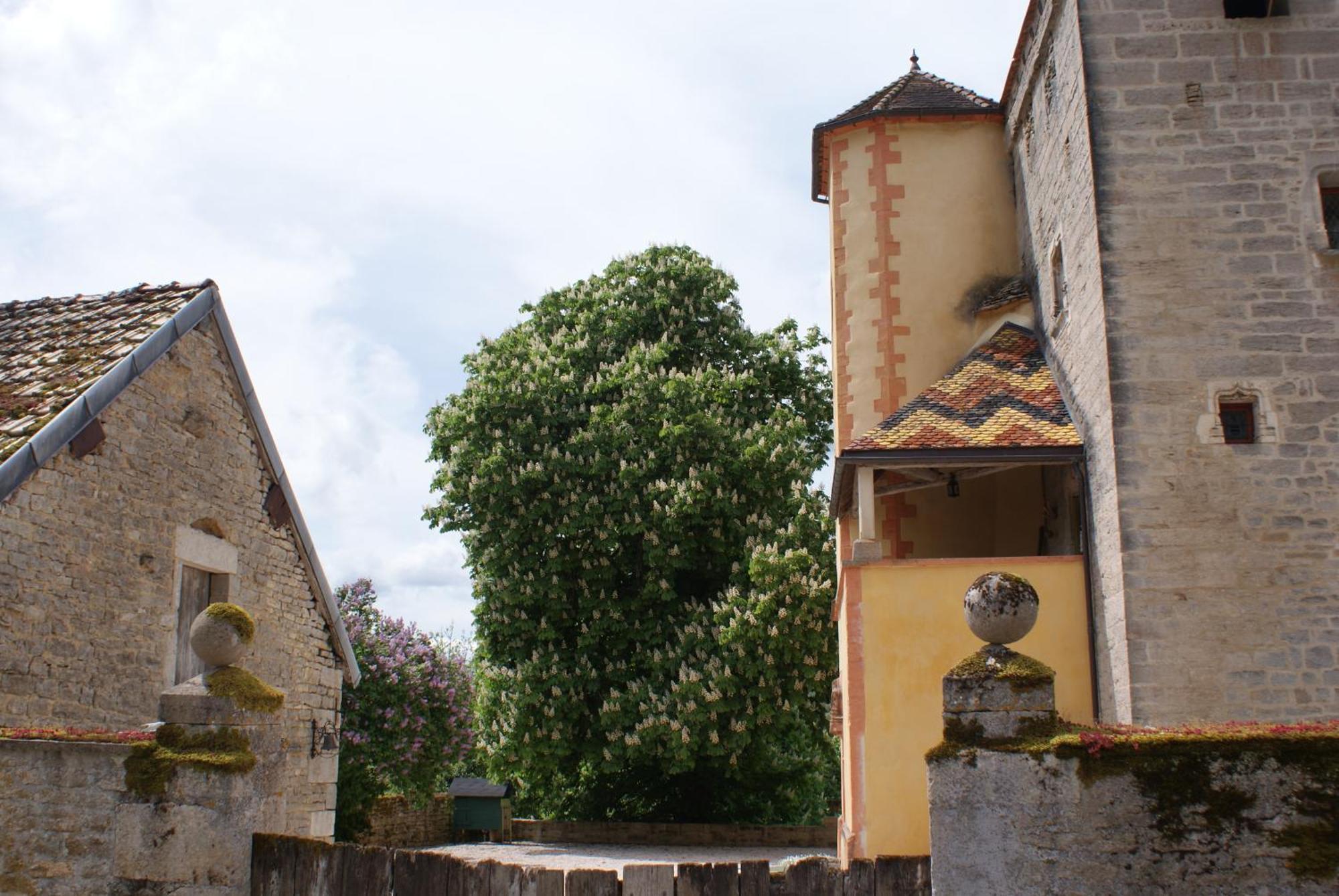 Chateau De Champrenault, Voyagez Dans Le Temps Buitenkant foto