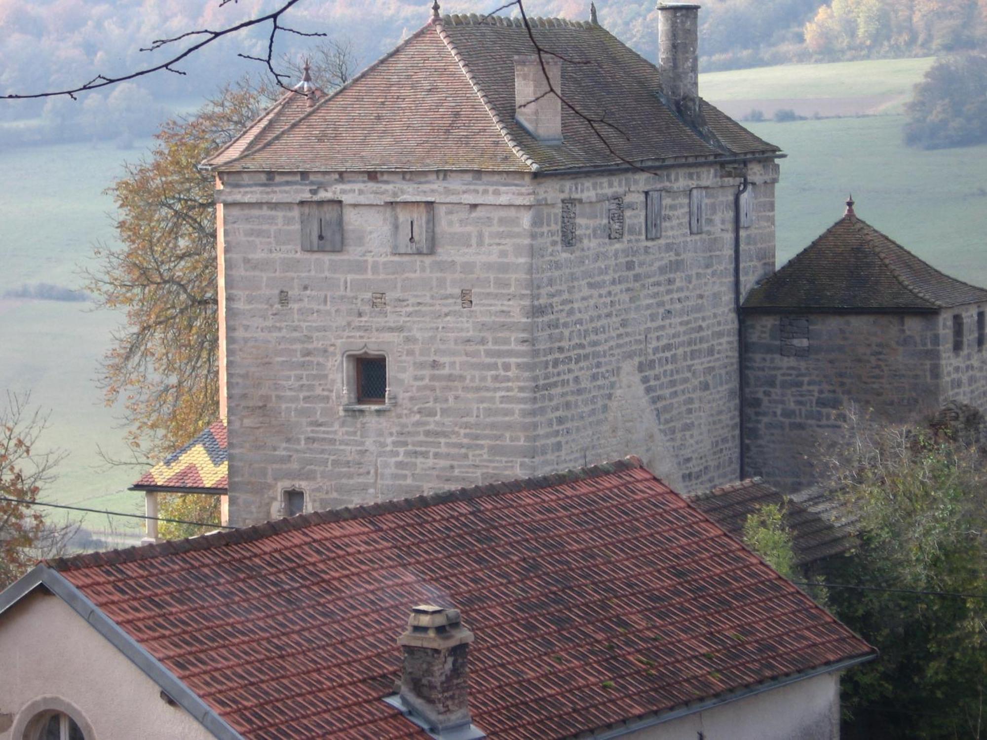 Chateau De Champrenault, Voyagez Dans Le Temps Buitenkant foto
